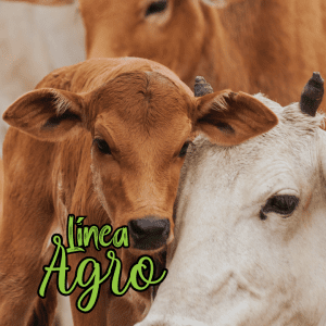 Agro